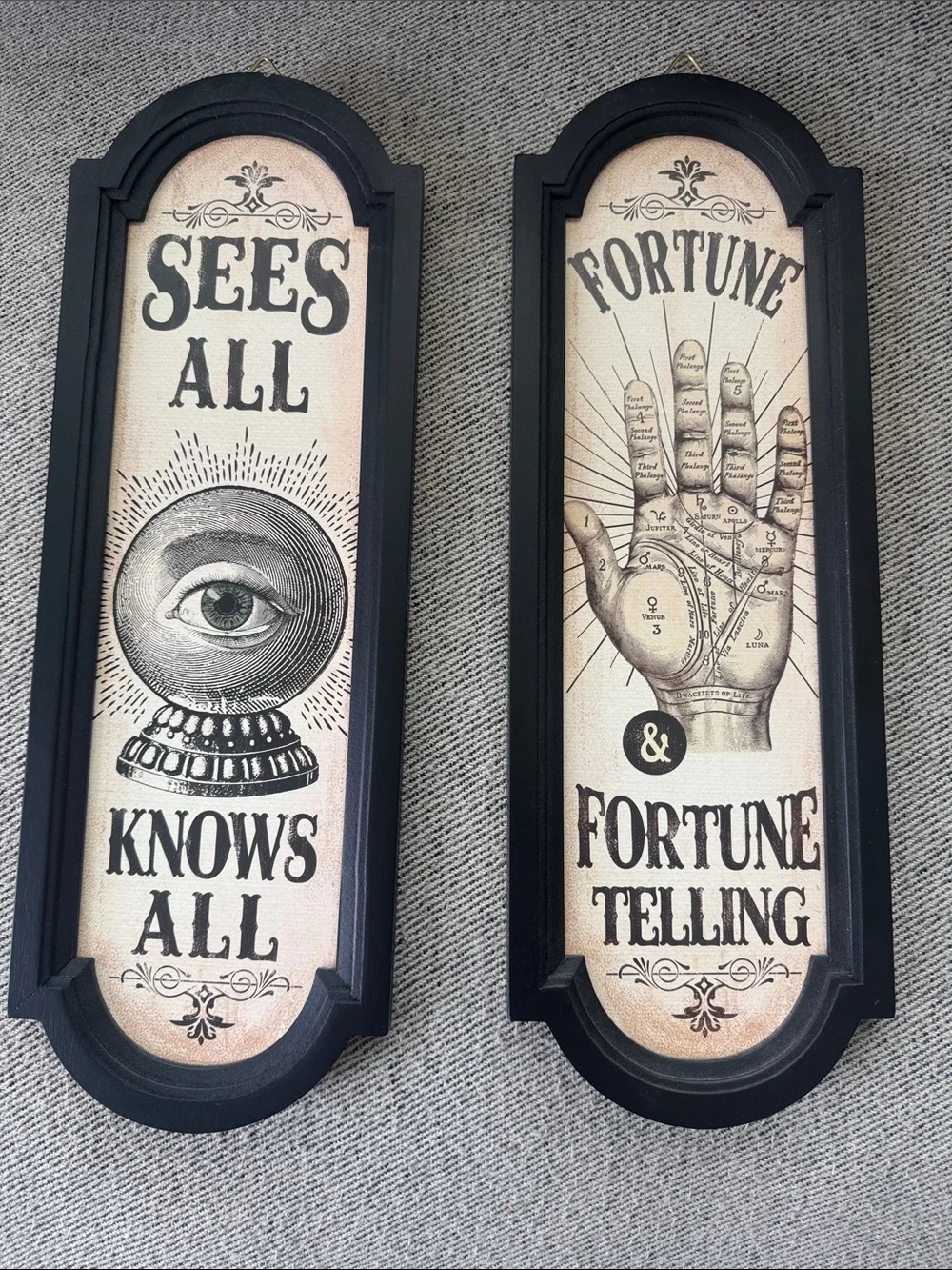 Halloween, soooky, alt, whimsy Fortune Telling Wall Plaques in Black and Cream